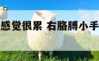 右胳膊小臂感觉很累 右胳膊小手臂酸疼是什么原因
