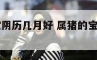 属猪的宝宝阴历几月好 属猪的宝宝阴历几月好命