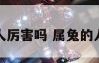属兔的人厉害吗 属兔的人强势吗