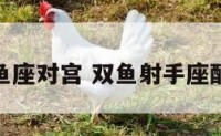 双鱼座对宫 双鱼射手座配对