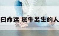 属牛出生曰命运 属牛出生的人命运如何