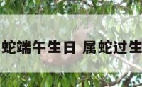 属蛇端午生日 属蛇过生日