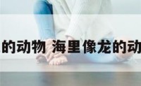 龙的动物 海里像龙的动物