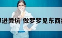 梦到物品掉进粪坑 做梦梦见东西掉粪坑里了