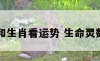 生命灵和生肖看运势 生命灵数和生肖