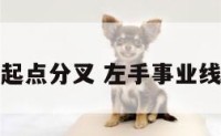 左手事业线起点分叉 左手事业线分成了三段