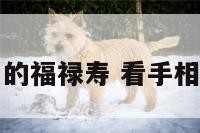 手相中的福禄寿 看手相福禄寿