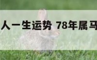 78年属马人一生运势 78年属马人一生运势解析