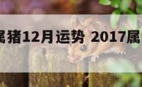 2017属猪12月运势 2017属猪的命运