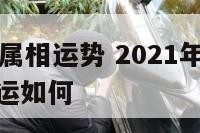 3月9日兔属相运势 2021年3月9日十二生肖财运如何