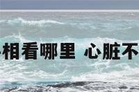 心脏不好看手相看哪里 心脏不好手诊看哪里