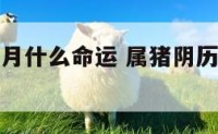 属猪阴历4月什么命运 属猪阴历4月什么命运好