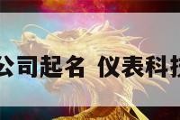 仪器仪表公司起名 仪表科技公司起名