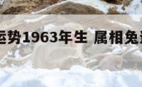 属相兔运势1963年生 属相兔运势1963年生肖