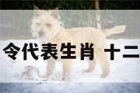 十二生肖令代表生肖 十二生肖令牌