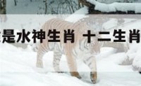 十二生肖谁是水神生肖 十二生肖谁是水神生肖最厉害
