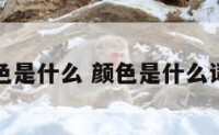 颜色是什么 颜色是什么词性