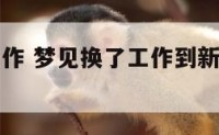 梦见换了工作 梦见换了工作到新公司非常高兴
