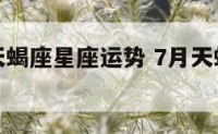 七月七日天蝎座星座运势 7月天蝎座运势怎么样