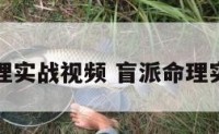 盲派命理实战视频 盲派命理实战案例