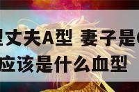 妻子血型0型丈夫A型 妻子是0型血丈夫是ab型血孩子应该是什么血型