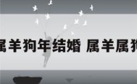 男女属羊狗年结婚 属羊属狗结婚