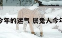 看看属兔今年的运气 属兔人今年运气如何