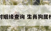 生肖狗配对姻缘查询 生肖狗属相婚姻配对