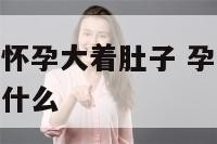 孕妇梦见别人怀孕大着肚子 孕妇梦见别人大肚子孕妇预示什么