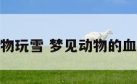 梦见动物玩雪 梦见动物的血好不好