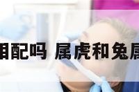 属虎和兔相配吗 属虎和兔属相合不合