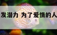 为了爱情爆发潜力 为了爱情的人现在怎么样了
