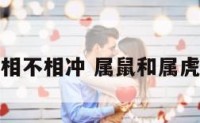 属鼠和属虎相不相冲 属鼠和属虎相不相冲呀