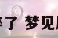 梦见厨房水池碎了 梦见厨房洗菜池漏水