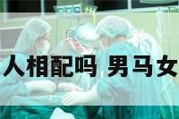 属马和属蛇的人相配吗 男马女蛇能过一生吗