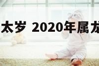 2017属龙太岁 2020年属龙太岁怎么化解