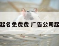 广告公司起名免费费 广告公司起名吉祥字