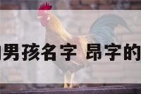 昂字组词的男孩名字 昂字的组词有哪些