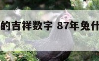 87年属兔的吉祥数字 87年兔什么数字旺财运