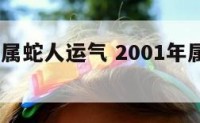 2001年属蛇人运气 2001年属蛇运气怎样