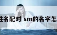 sm姓名配对 sm的名字怎么取