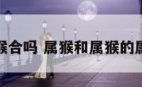 属猴与属猴合吗 属猴和属猴的属相合不合