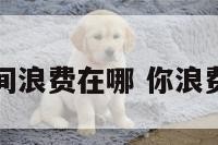 你的时间浪费在哪 你浪费时间了