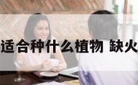 缺火缺土适合种什么植物 缺火缺土的人