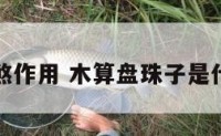 木算盘化煞作用 木算盘珠子是什么木做的