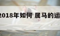 属马人2018年如何 属马的运气2018怎么样