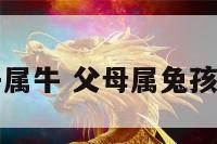 父母兔孩子属牛 父母属兔孩子属牛好吗