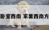 养龟放卧室西南 家里西南方向养龟