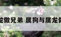 属狗与属龙做兄弟 属狗与属龙做兄弟好吗