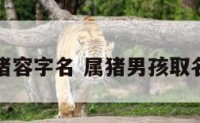 男孩属猪容字名 属猪男孩取名宜用字